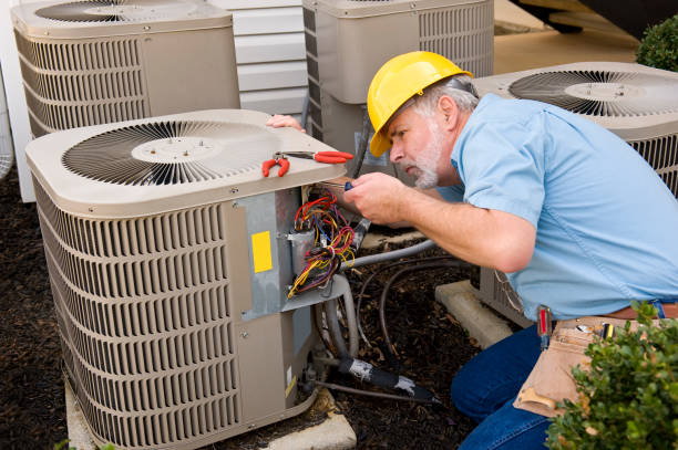 Best HVAC tune-up services  in Potterville, MI